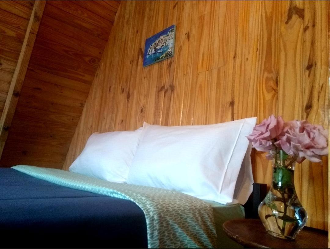 Trastienda Guest House El Calafate Luaran gambar